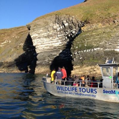 We run dolphin  watching boat trips out of New Quay, West Wales, in the world class waters of Cardigan Bay. Book online & more info at https://t.co/2nnmRgs1zP