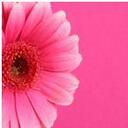 KathyCade - @KathyCade - Twitter