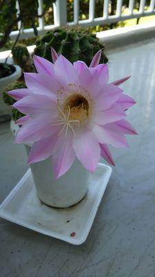 mike_mi_mi_'s profile picture. 