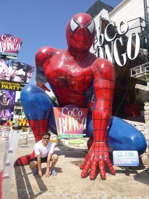 willy2339's profile picture. cool