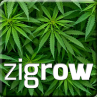 zigrow (@zigrow_tweets) 's Twitter Profile