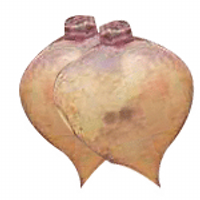 Jonathan (@jonsmith20850) 's Twitter Profile