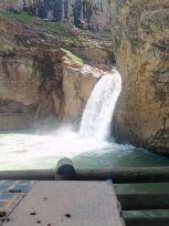 e6016fb760274e9's profile picture. 