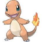 a female Charmander. lvl: 9 father is @MightyenaSable
