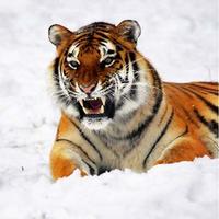 güzide (@elif_guzide24) 's Twitter Profile Photo güzide (@elif_guzide24) 's Twitter Profile Photo
