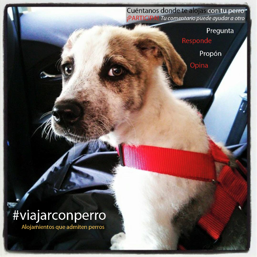 Compartir experiencias de Alojamientos Turísticos que admiten perros. #perrosbienvenidos #dogfriendly #turismodogfriendly #viajarconperro #viajarconmascota