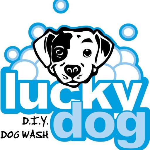 We are a Do-It-Yourself Dog Wash located on Texas Ave. next to HEB and the Verizon store. We post daily pictures of our Lucky Dogs. Follow us!