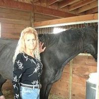 Shanna Damien(@victorianequine) 's Twitter Profileg