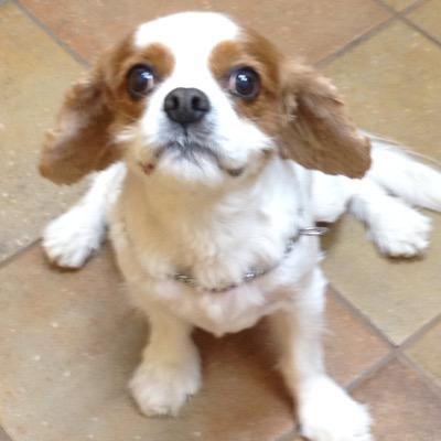 donnaelaine2015's profile picture. 