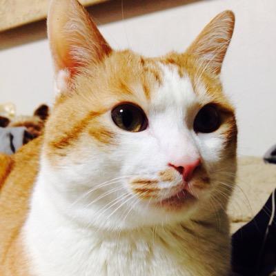 エイトさんのプロフィール画像