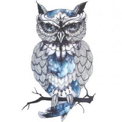 ameerah444's profile picture. طموحة ✨