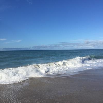 mikebryer's profile picture. 