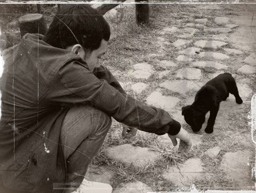 darupi's profile picture. 