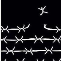 The Mindful Path to Freedom (@notporc) 's Twitter Profile