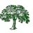 ltctree