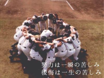 福島県の高校野球を応援しています!!!!