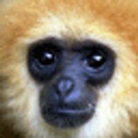 Jeff Tidball (@jefftidball) 's Twitter Profile
