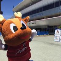 あんとん (@fw_df7) 's Twitter Profile