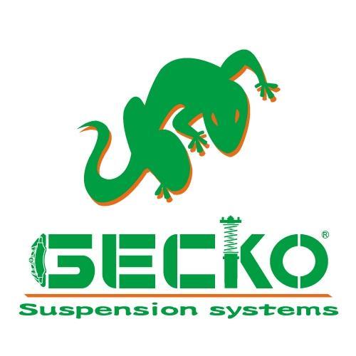 We are Gecko Suspension System come from Taiwan