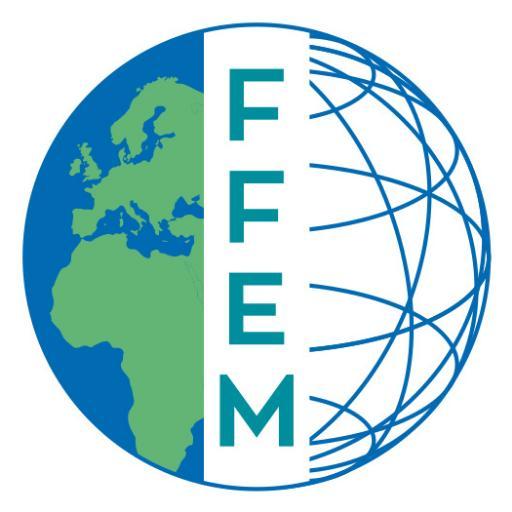 FFEM_Fr Profile Picture