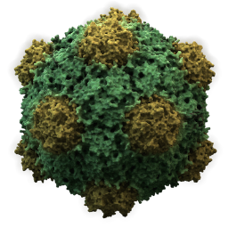 CRISPR_News Profile Picture