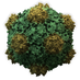 CRISPR News ๐งฌ (@crispr_news) Twitter profile photo CRISPR News ๐งฌ (@crispr_news) Twitter profile photo