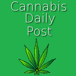 WeedNewsRoom's profile picture. 