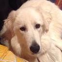 Vicky Cheng - @chengchiaju - Twitter