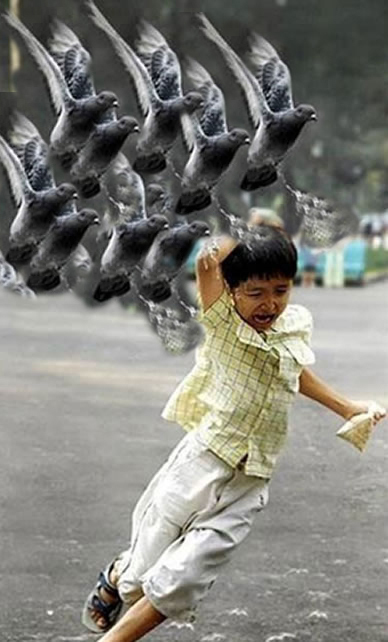 fuckapellow's profile picture. 