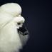 Studio Montaigne (@studiomontaigne) Twitter profile photo Studio Montaigne (@studiomontaigne) Twitter profile photo