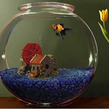 bestbrands_1's profile picture. Branding || Marketing|| Consulting||******
 With the new day comes new strength and new thoughts.******