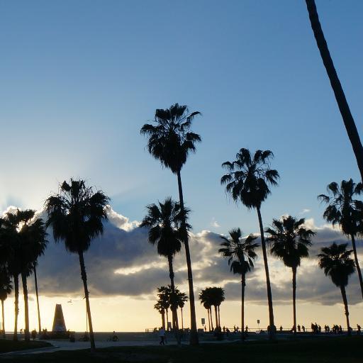 Christian Paul (Chris_Paul24) Twitter