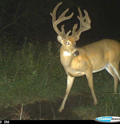 Iowa ' s Ultimate Whitetail destination