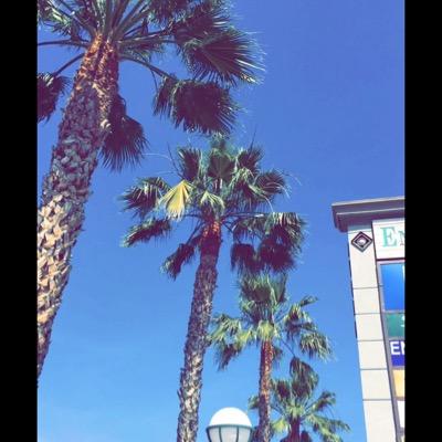 heytred01's profile picture. 