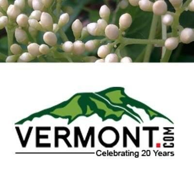 Providing information about everything in Vermont!