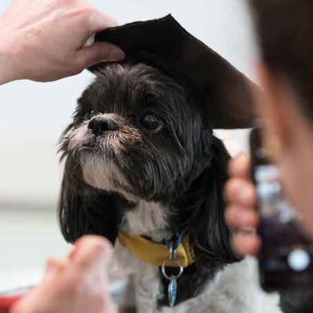 My name's Ruby, I'm a Wellness Champion in the Faculty of Science! I'm on campus most Tuesdays and Fridays in Student Services. Check Twitter for my activities!