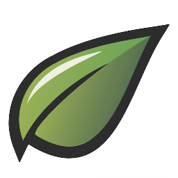Green Leaf Digital Impact helps transformational leaders take their message to the world. Digital marketing for speakers, authors, coaches & world changers.