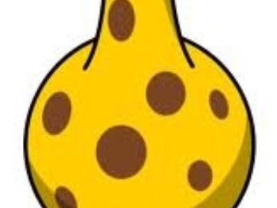 9hobey_haxtun's profile picture. Life doesn't comewith manual or instruction. GIlalensa Photogaph.