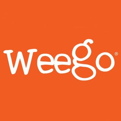 Weego is Portable Power - Starts Your Engine, Charges Your Phone, & Fits in Your Pocket!