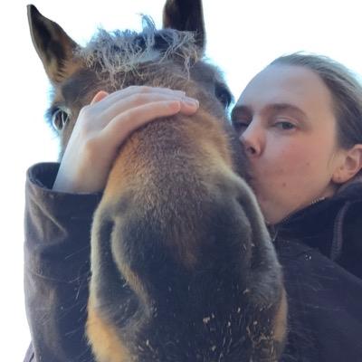 pambabear's profile picture. Making movies is what I do! ~ 'Do what you love. Love what you do.' -- 'Be yourself; everyone else is already taken.' - Oscar Wilde