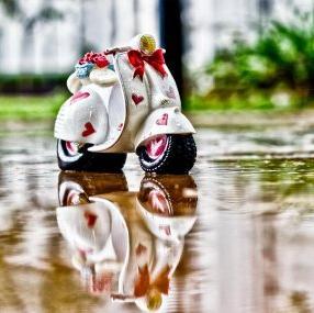 drakashakumar's profile picture. I like dancing , studyin andReddio specially