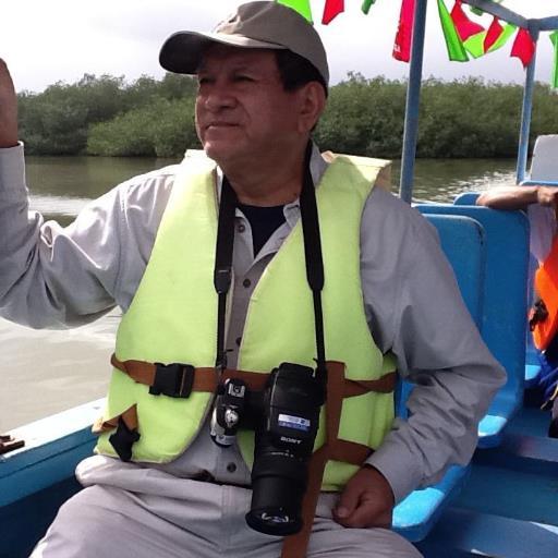 Dennis del Castillo Torres Profile