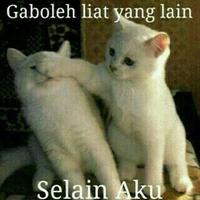 Dian (@dianrahayuyuli1) 's Twitter Profile Photo Dian (@dianrahayuyuli1) 's Twitter Profile Photo