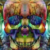 LM (@9halftoedluke) 's Twitter Profile Photo LM (@9halftoedluke) 's Twitter Profile Photo