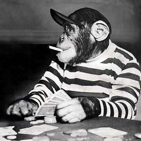 I follow the stats. The stats don't follow me. WATCH ME CHASE THE DREAM. Complete shitbag. Usually cash out.