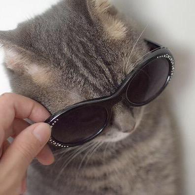 Sleipnir_s's profile picture. 毒吐き機。