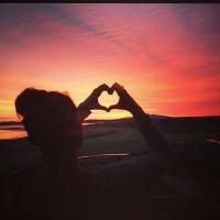 The Very Vegan Vlog (@veganvlogger) 's Twitter Profile