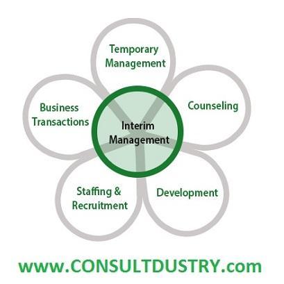 BUSINESS CONSULTING & AGENCY - Tech Industry ASEAN -interim management-temporary management-staffing & recruitment-counseling-development-business transactions