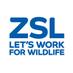 ZSL Conservation (@ZSLconservation) Twitter profile photo