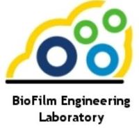 Biofilm Lab at UCD (@biofilm_lab_ucd) 's Twitter Profile Photo Biofilm Lab at UCD (@biofilm_lab_ucd) 's Twitter Profile Photo